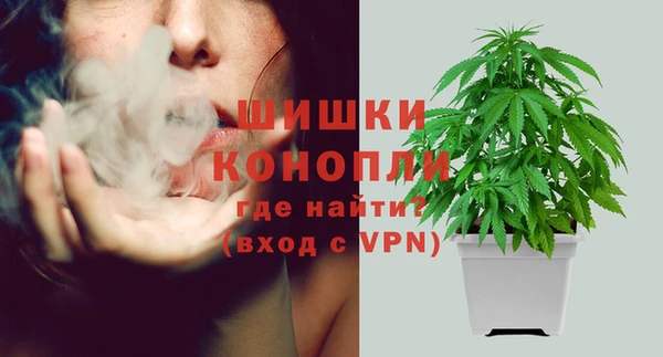 метадон Ладушкин