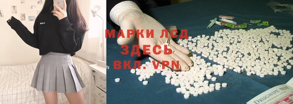 прущие грибы Лабытнанги
