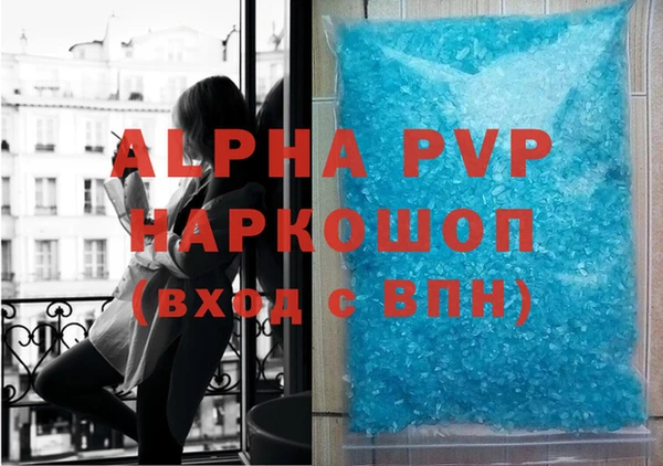 прущие грибы Лабытнанги