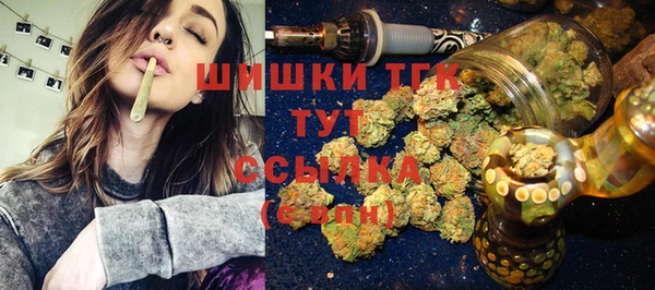прущие грибы Лабытнанги