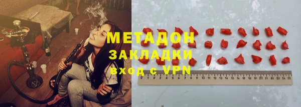 прущие грибы Лабытнанги