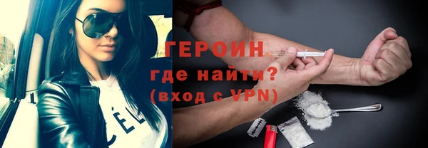 прущие грибы Лабытнанги