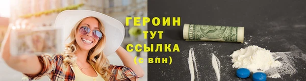 прущие грибы Лабытнанги