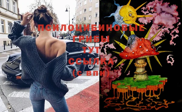 прущие грибы Лабытнанги