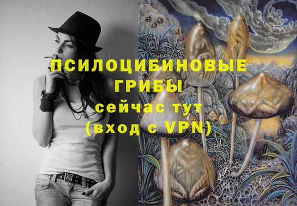 метадон Ладушкин