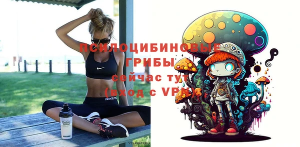 метадон Ладушкин