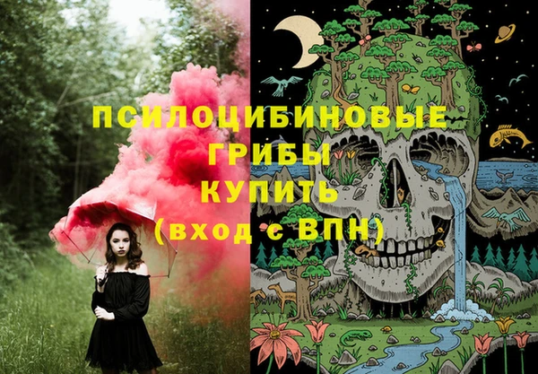 прущие грибы Лабытнанги