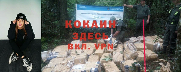 прущие грибы Лабытнанги