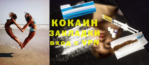 прущие грибы Лабытнанги