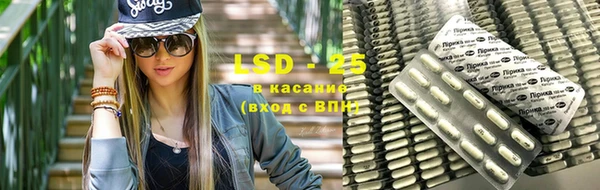 прущие грибы Лабытнанги