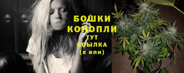 метадон Ладушкин