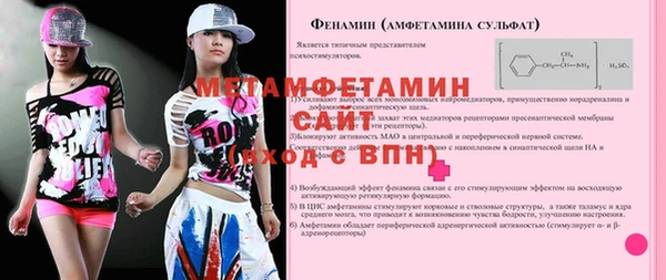 прущие грибы Лабытнанги