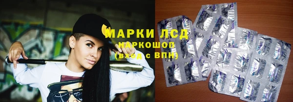 прущие грибы Лабытнанги